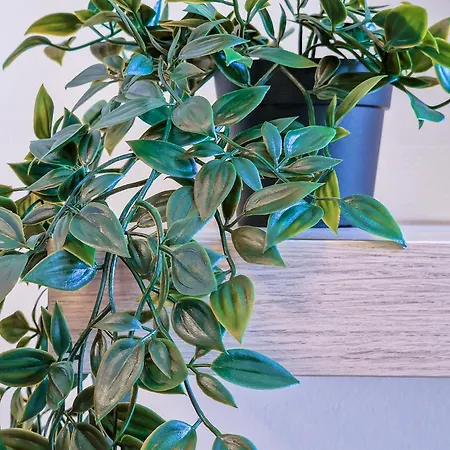 Appartamento Lulu - Centro Foce Sanremo
